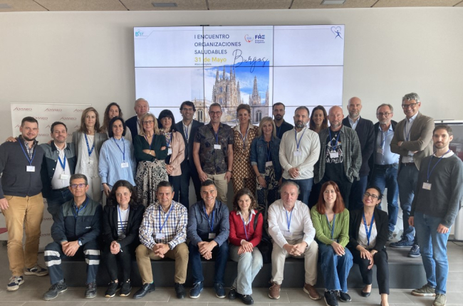 Participantes en el primer encuentro de Empresas Saludables, con cuatro representantes de Soria. HDS