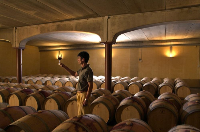 La bodega estrenó el siglo XXI pero nace de viñedo viejo y estilo tradicional. --HDS