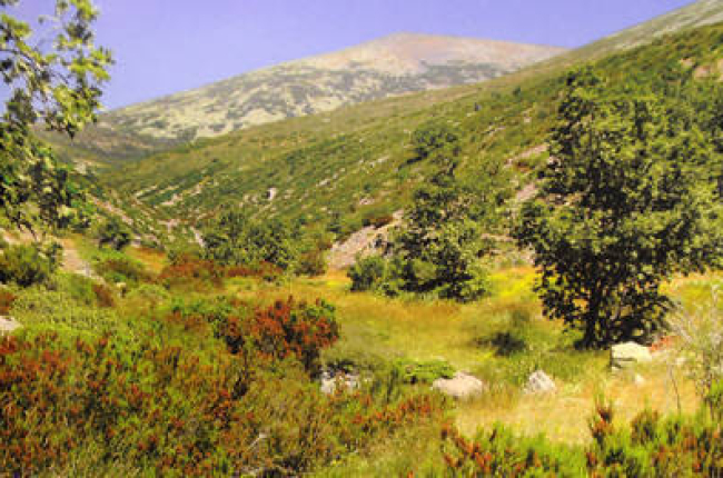 El Moncayo, al que la publicación dedica un capítulo, es una de las montañas más representativas de Castilla y León y la de más altura de la provincia de Soria.-