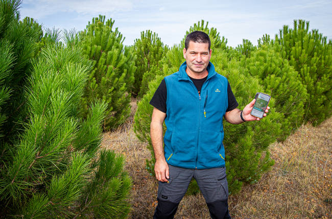 Javier Antón, de Agresta, en una de las plantaciones de reforestación, ubicada en Soria.  MARIO TEJEDOR