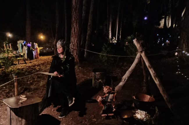 El Bosque Magico celebra su Noche Iluminada.