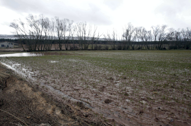 Campo en la provincia de Soria.