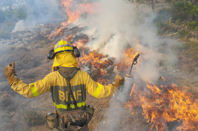 Un bombero forestal con una antorcha por goteo realiza una quema controlada en Sierra Cebollera.