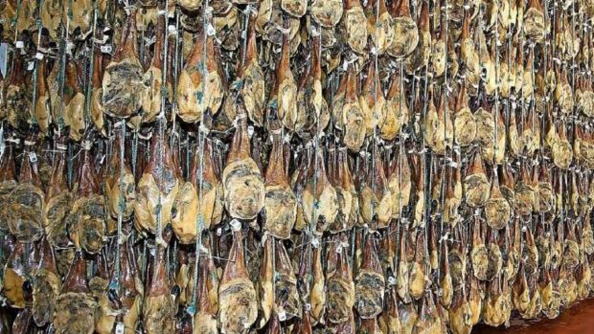 El sector cárnico emplea en Soria a 700 personas.