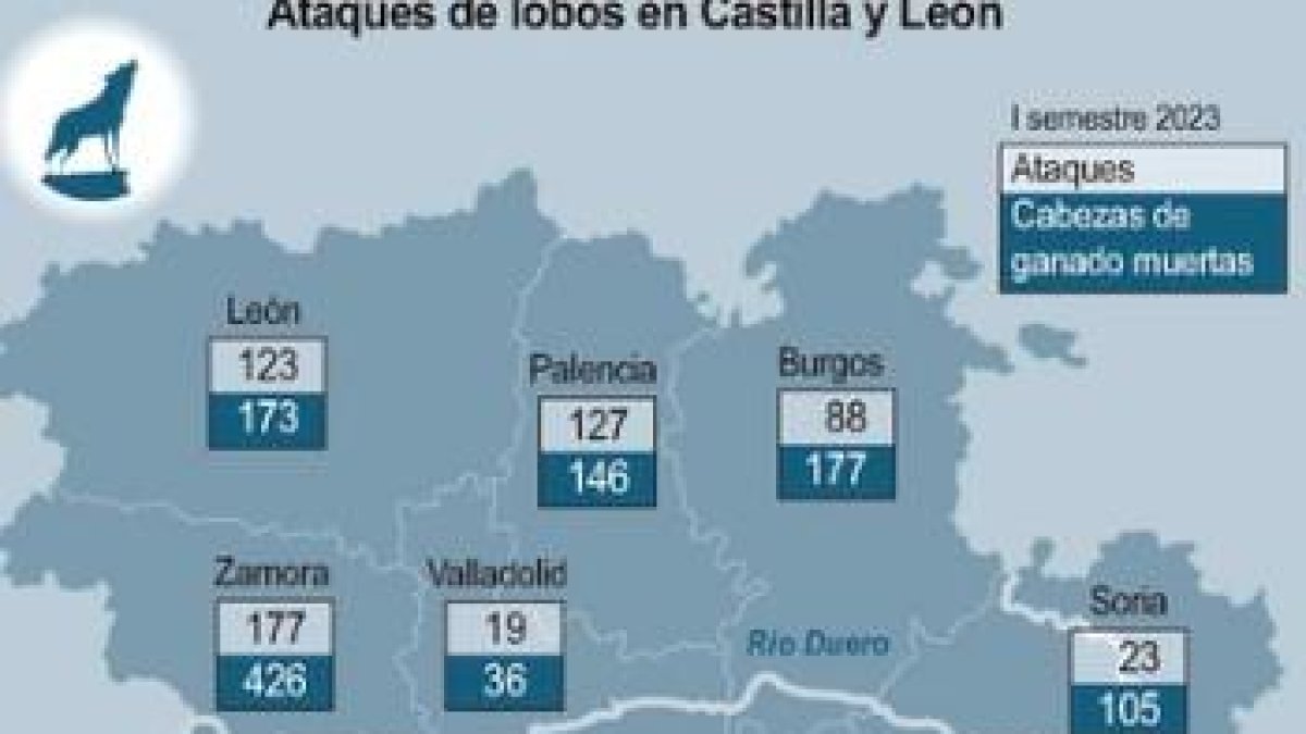 Proyección de la Junta sobre ataques de lobo y cabezas de ganado muertas en el primer semestre de 2023.