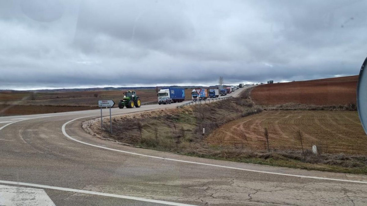 Un tractor seguido de varios camiones este viernes en la comarca de Almazán.