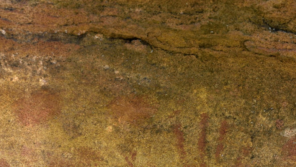 El Abrigo de las Manos, descubierto en 2020 por una agente medioambiental de Valonsadero.