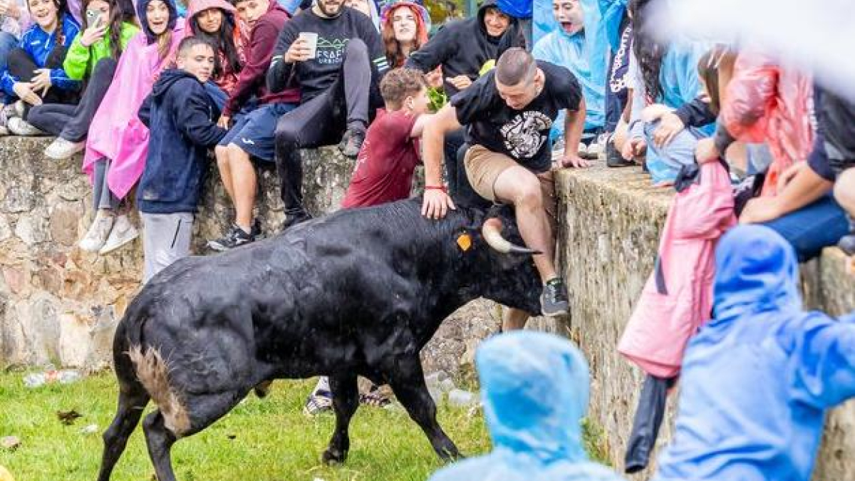 Un Lavalenguas vespertino pasado por agua