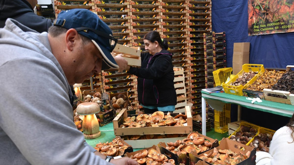 La localidad pinariega vive una nueva jornada ferial.