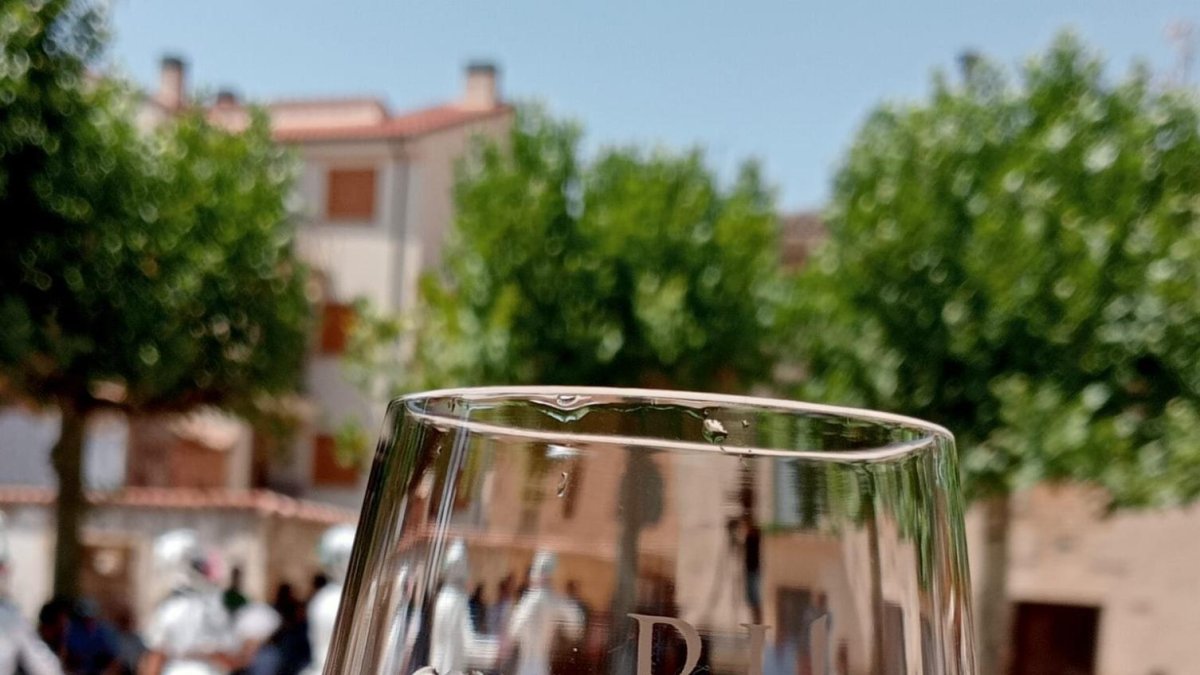 Copa con vino de la DO Ribera del Duero