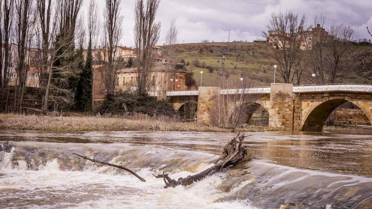 Un paseo junto al Duero sirve como muestra de la bravura de las aguas