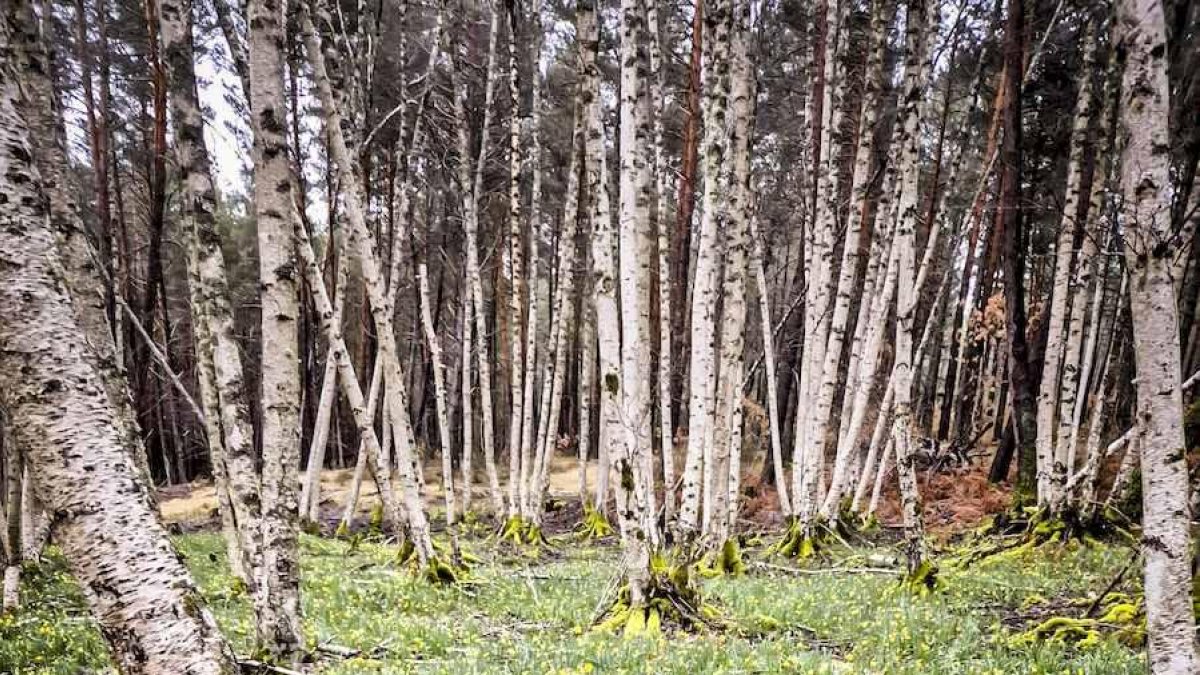 Un recorrido espectacular en estas épocas