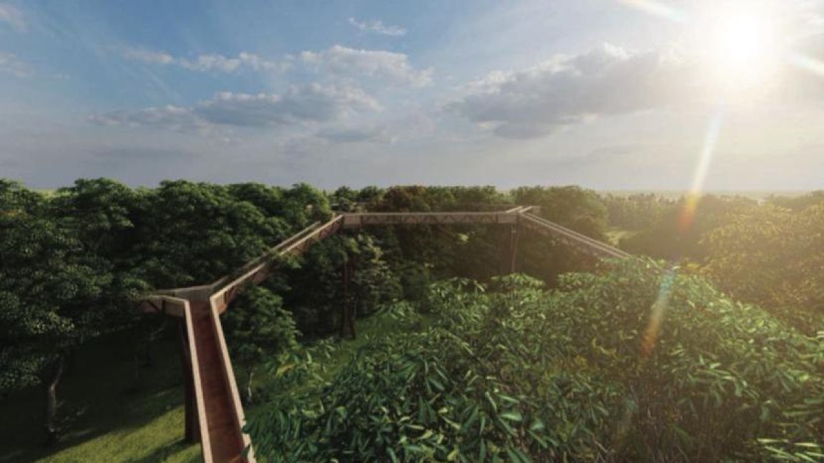 Recreación  de la pasarela que se proyecta en el campamento de La Nava en Covaleda.