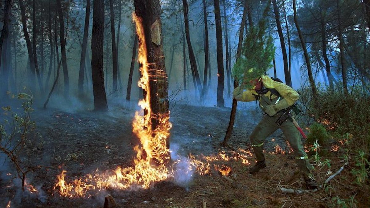 El Incendio de Izana quemó parte de Matamala de Almazán y Tardelcuende