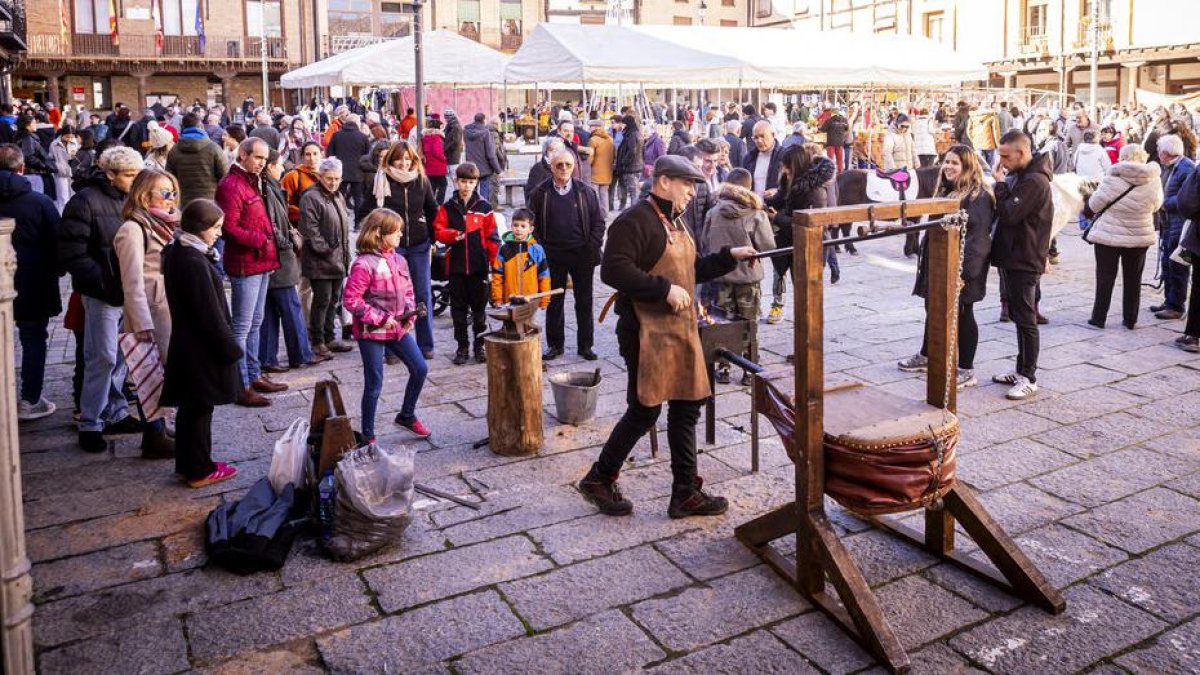 Expositores y actividades de todo tipo