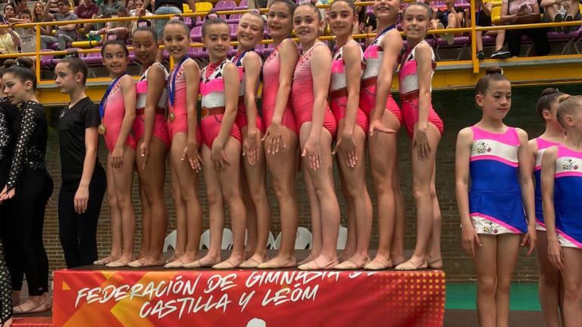 La gimnasia soriana logró muy buenos resultados