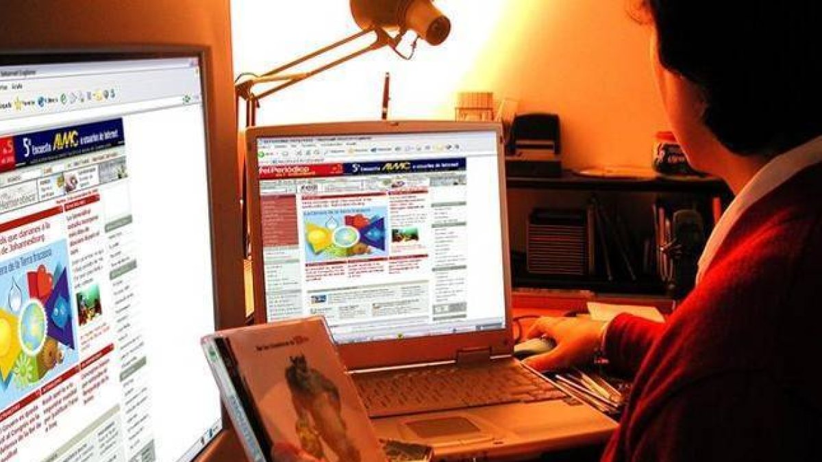 Una mujer navega por internet.-Foto:   RICARD FADRIQUE