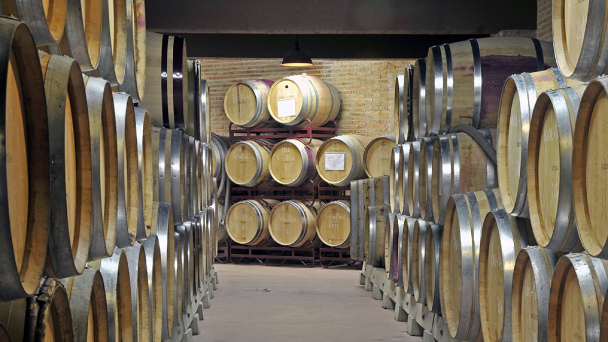Bodegas dominio de Atauta.