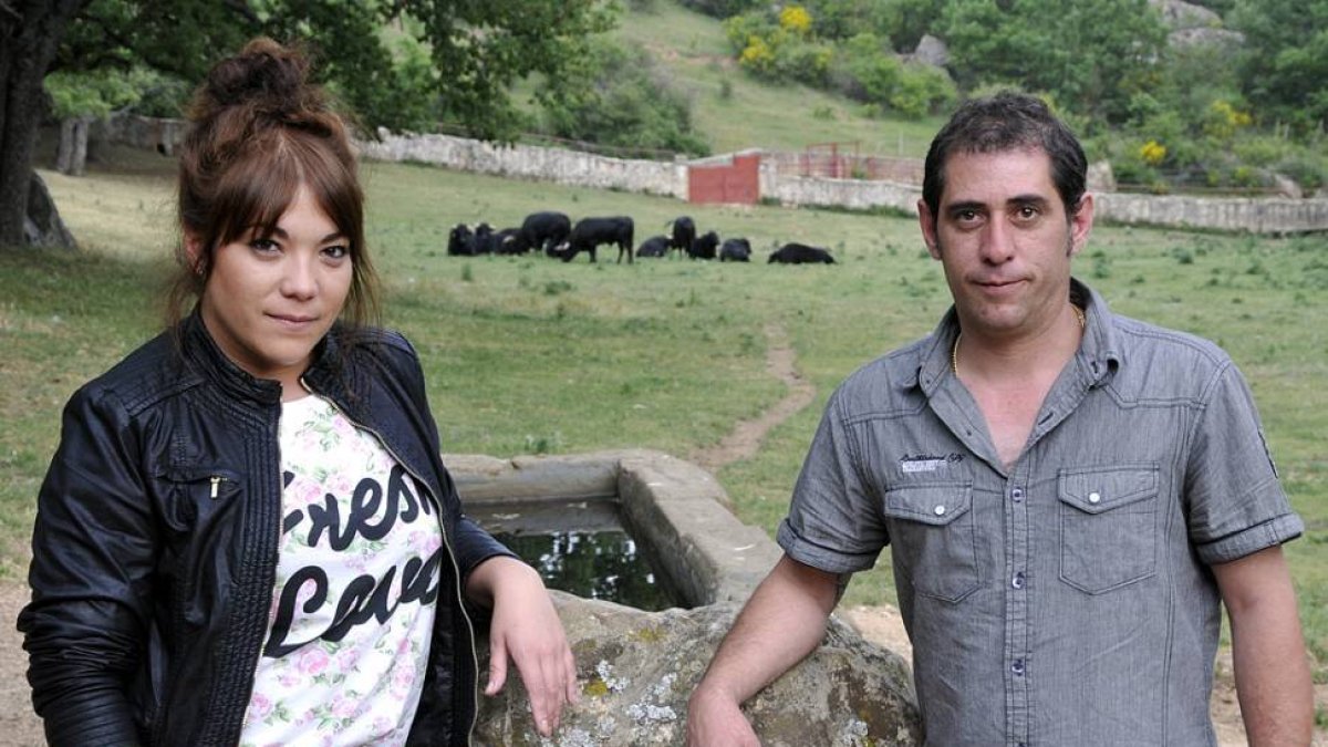 Francisco Javier y Mónica, junto a los novillos de la Saca en Cañada Honda.-VALENTÍN GUISANDE