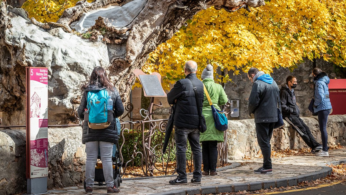 Turistas en Soria junto al Olmo Viejo de Machado. GONZALO MONTESEGURO