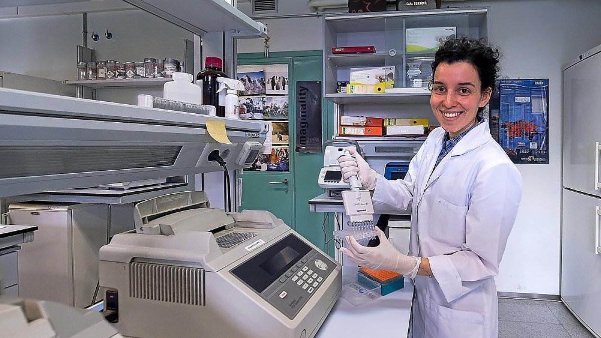 La investigadora Carolina Velázquez en el laboratorio de Genética Molecular del Cáncer Hereditario.-- PABLO REQUEJO