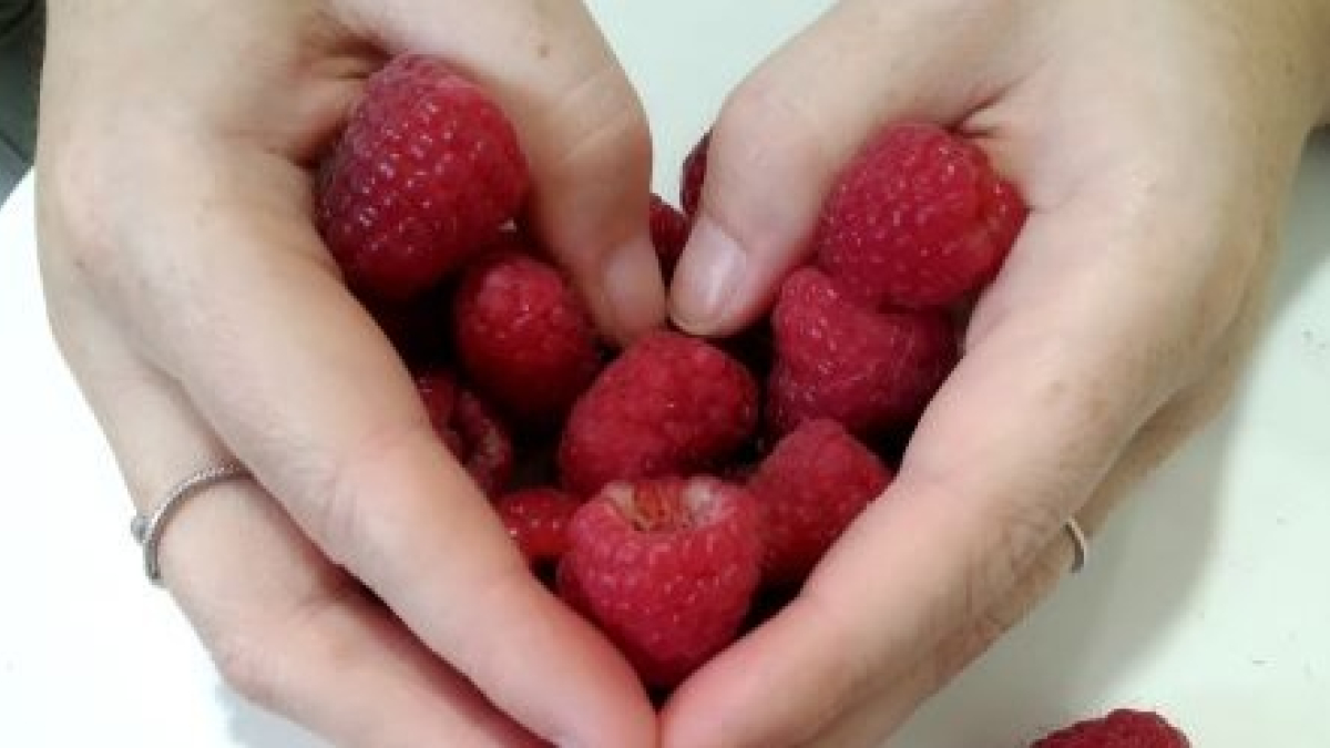 Las frambuesas de El Royo, una deliciosa iniciativa para luchar contra la despoblación. A.C.