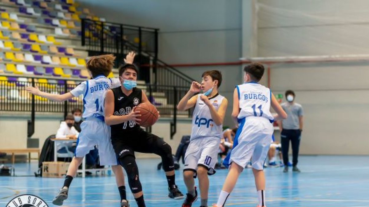 El Infantil B del Club Soria Baloncesto encadena dos victorias. HDS