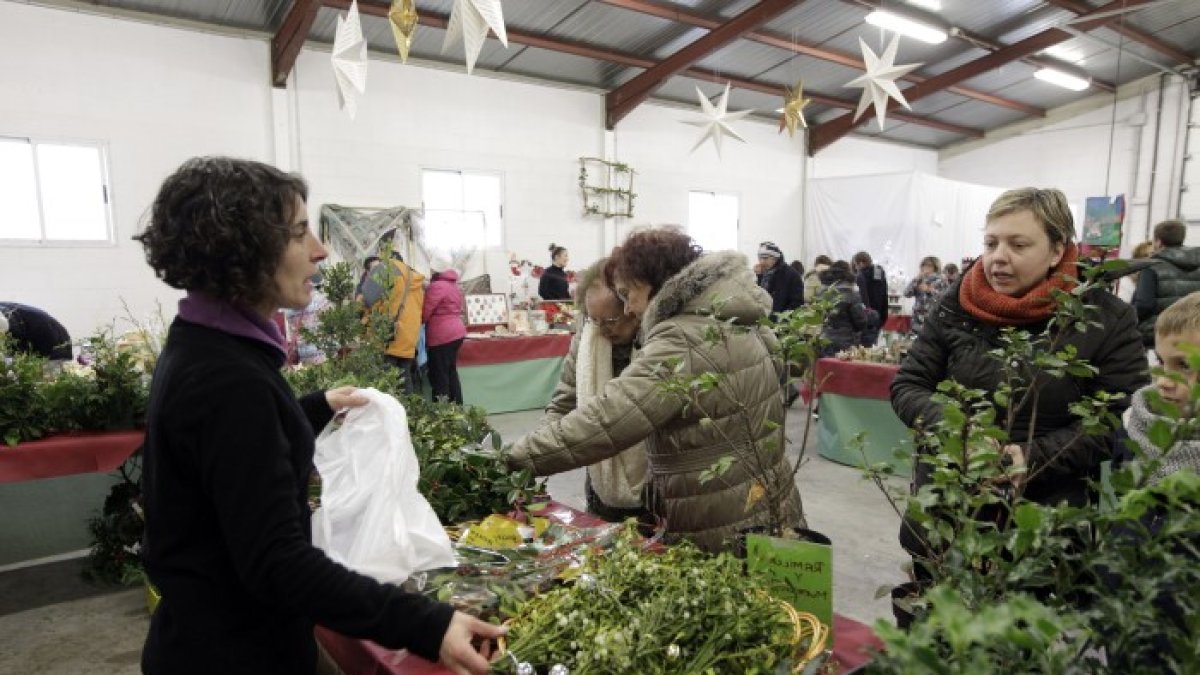 Puestos en la feria que se celebró en Oncala en 2019.-HDS
