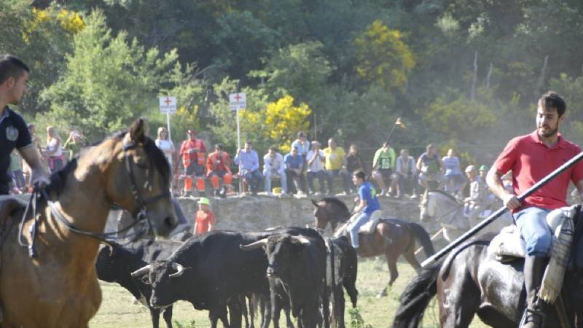 Los astados de San Juan, en una imagen del Lavalenguas 2015.-DIEGO MAYOR