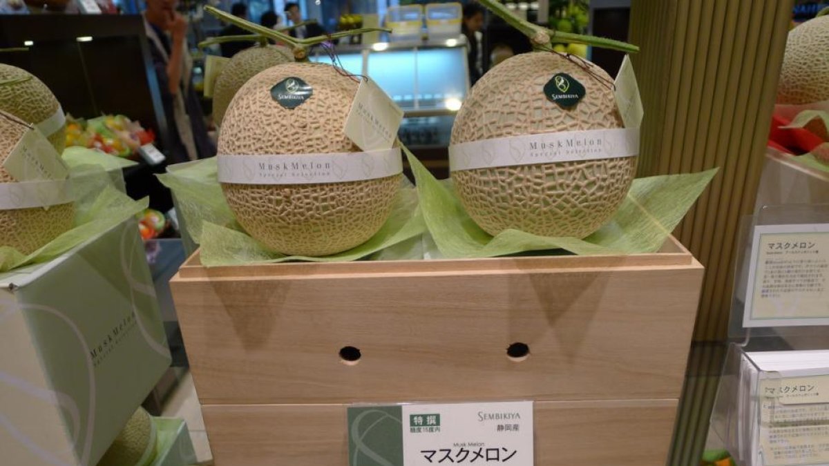 Melones en Sembikiya.-
