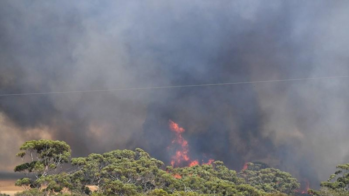 Los incendios forestales en Australia.-EFE