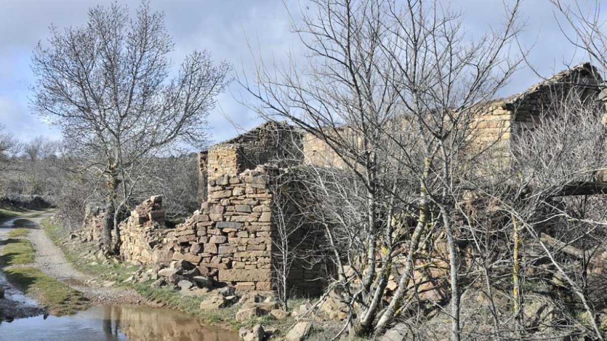 El Miteco tiene varias líneas para combatir la despoblación. MARIO TEJEDOR