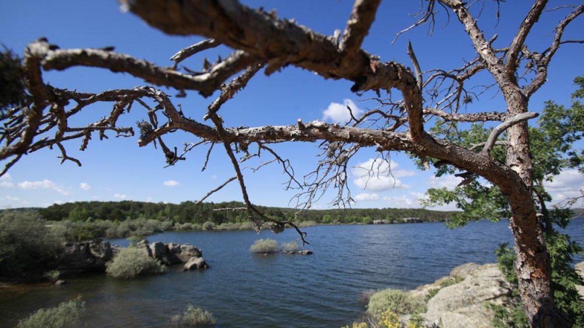 El embalse de la Cuerda del Pozo luce en estos días más de cuatro quintos de su capacidad. HDS