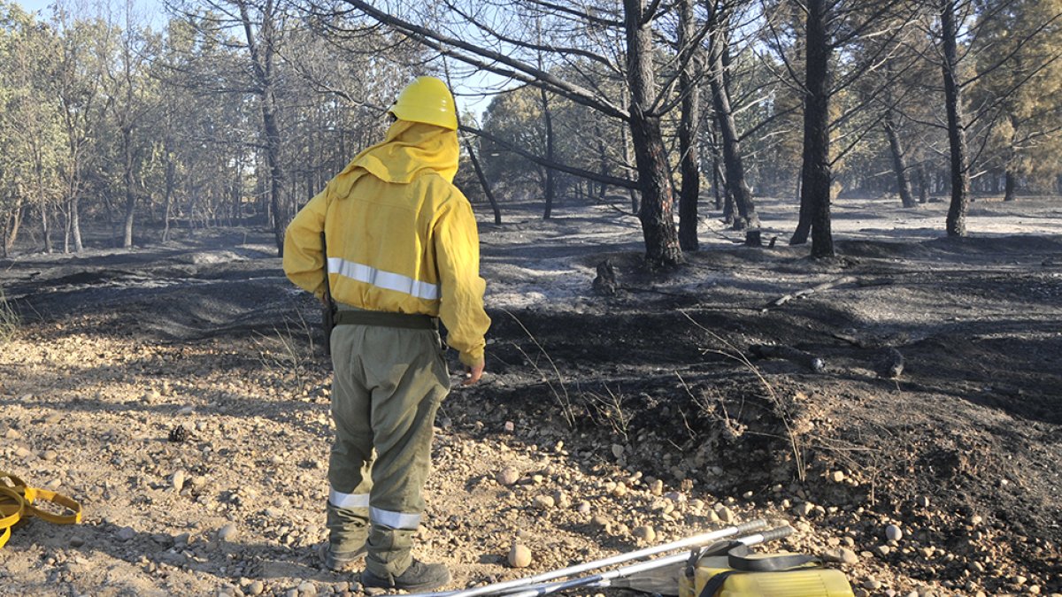 Incendio forestal en una imagen de archivo. HDS