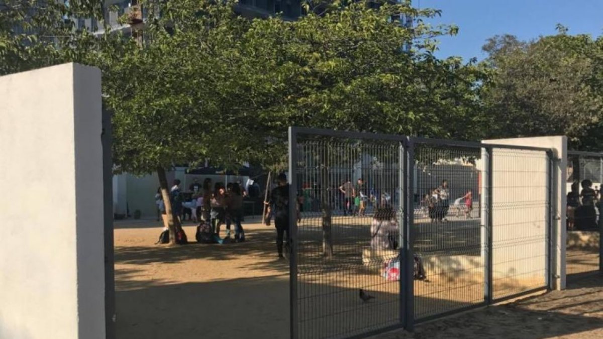 El patio de la escuela Artur Martorell, abierto al público hasta el domingo.-