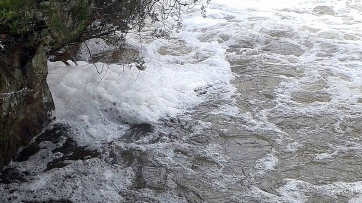 ‘Tormo’ de espuma enganchado en una orilla del río Razón en la zona del Chorrón.-AMELIA RUS