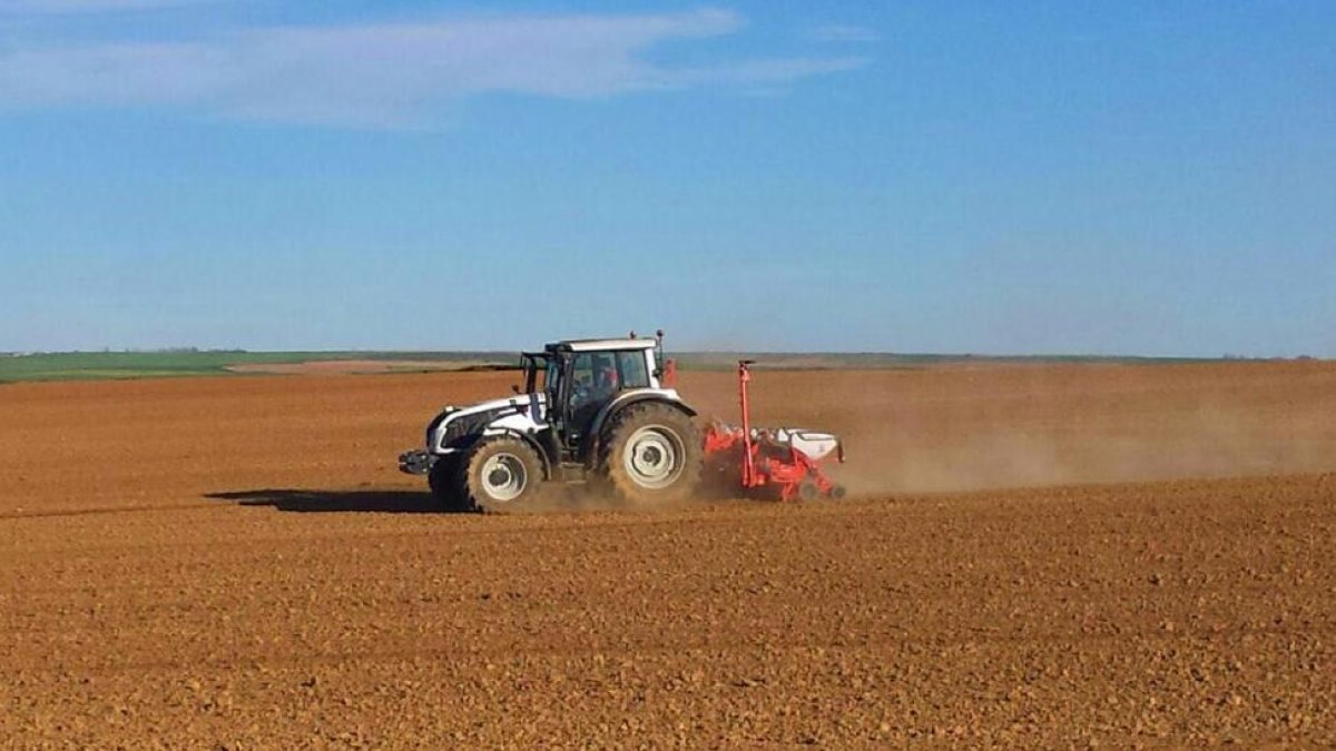 Un trabajador realiza labores de siembra de girasol con su tractor. HDS
