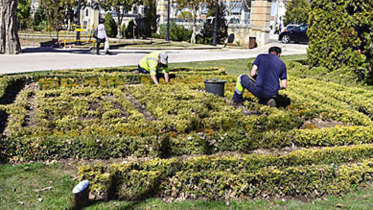 Varios trabajadores de parques y jardines. / ÁLVARO MARTÍNEZ-
