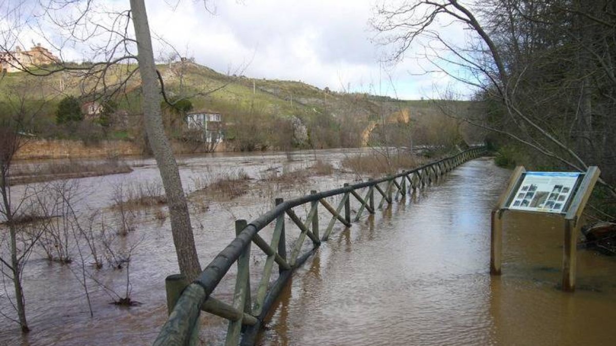 Márgenes del río Duero. FOTO DE @rh_antonio / TWITTER-
