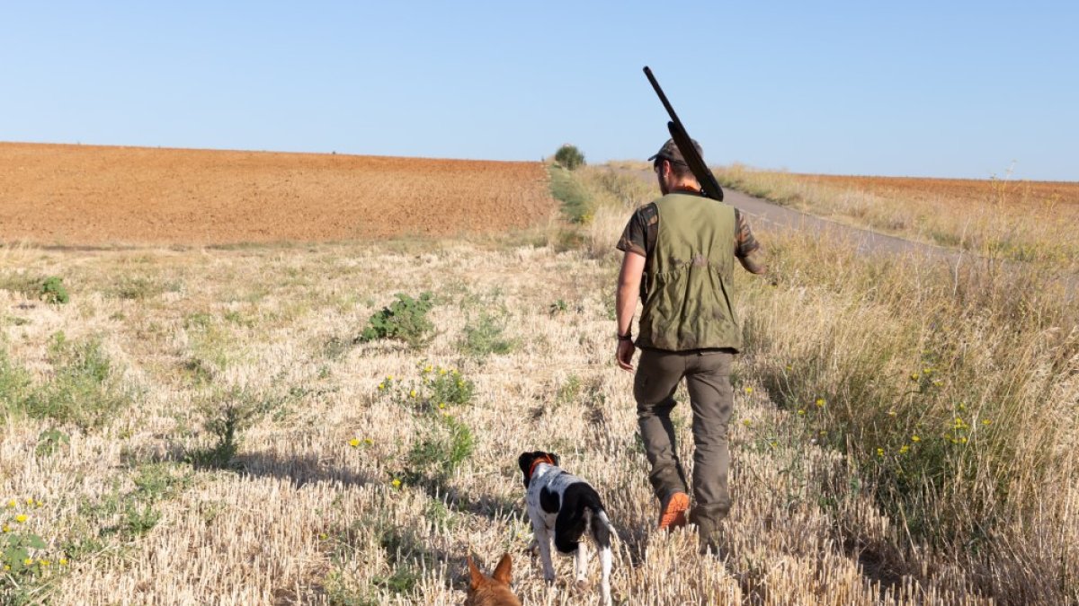 La nueva guía del cazador pretende exponer de forma clara las normativas de caza para facilitar su cumplimiento. ICAL