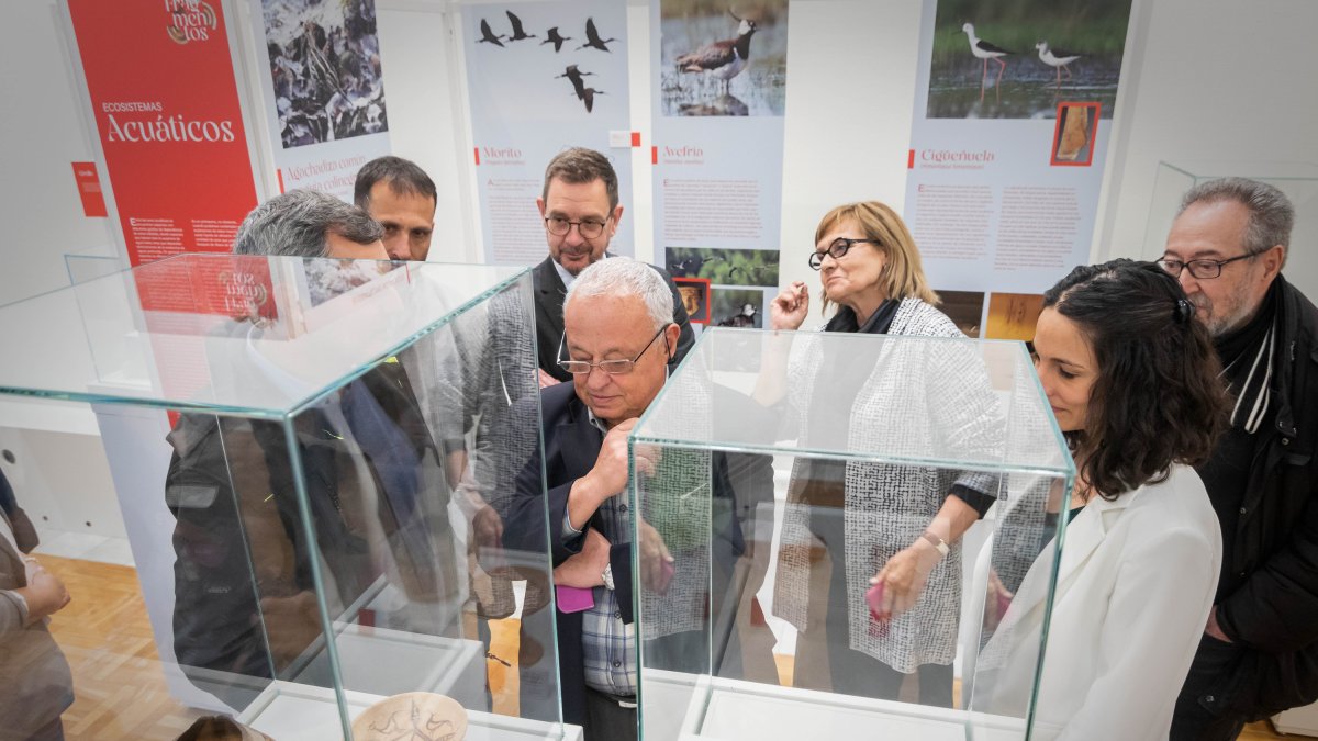 El consejero de Cultura, Gonzalo Santonja, visita la exposición del Museo Numantino. GONZALO MONTESEGURO