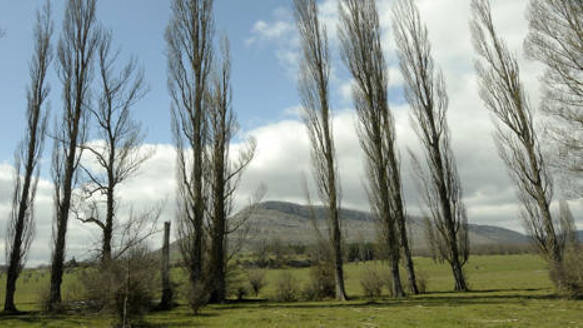 Entorno de Valonsadero donde se desarrollará parte del proyecto CO2Cero. / FERNANDO SANTIAGO-