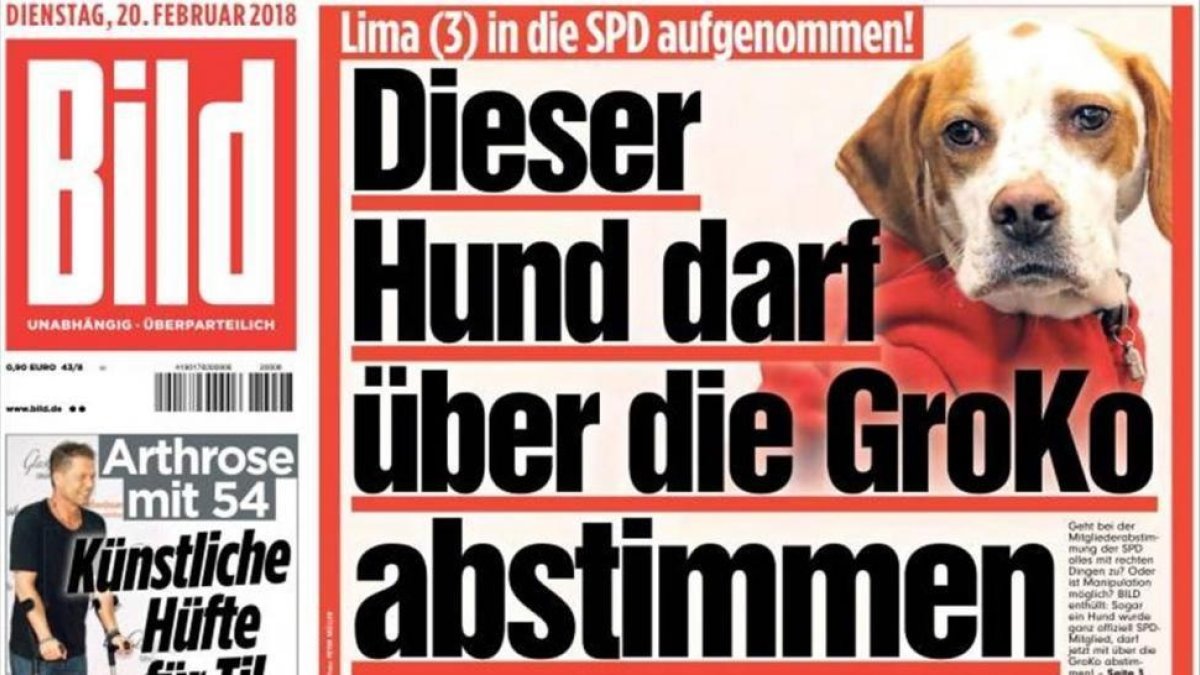 Portada del periódico Bild con la perra Lima.-EL PERIÓDICO