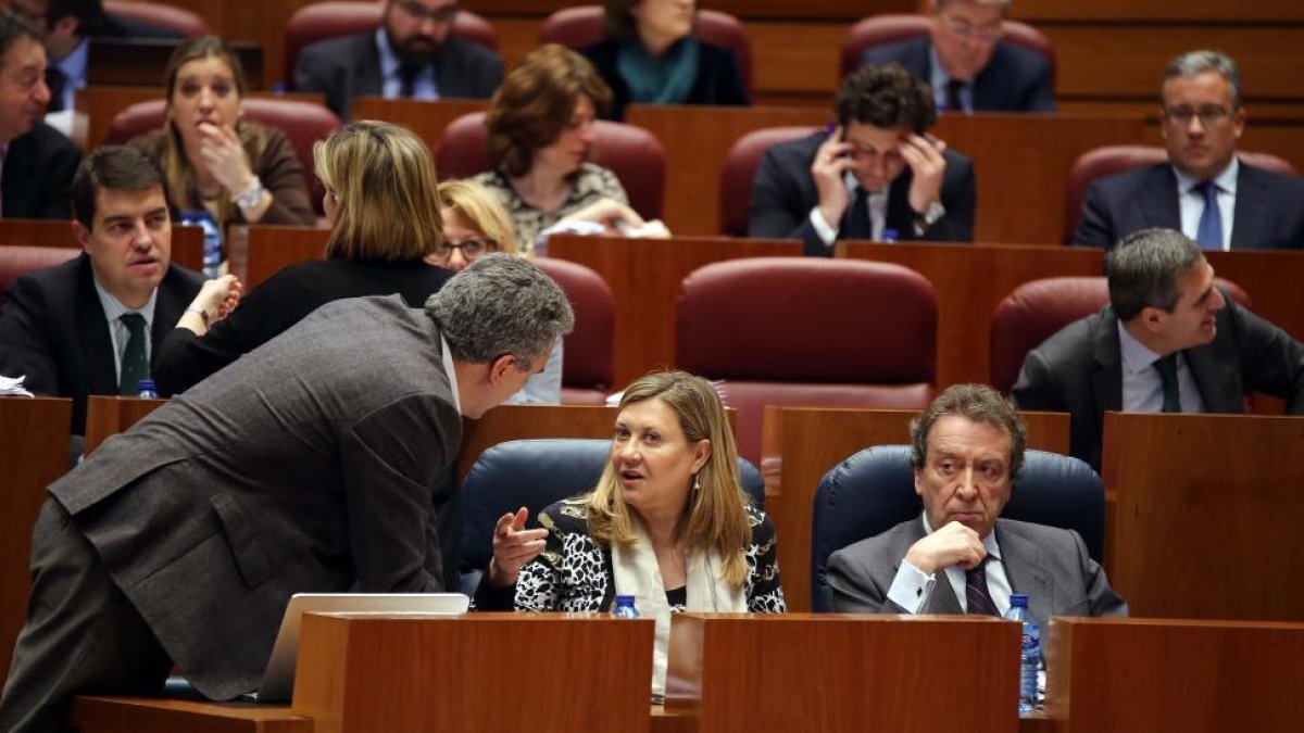 El procurador socialista Javier Izquiedo conversa con la consejera de Hacienda, Pilar del Olmo, en el Pleno de las Cortes-ICAL