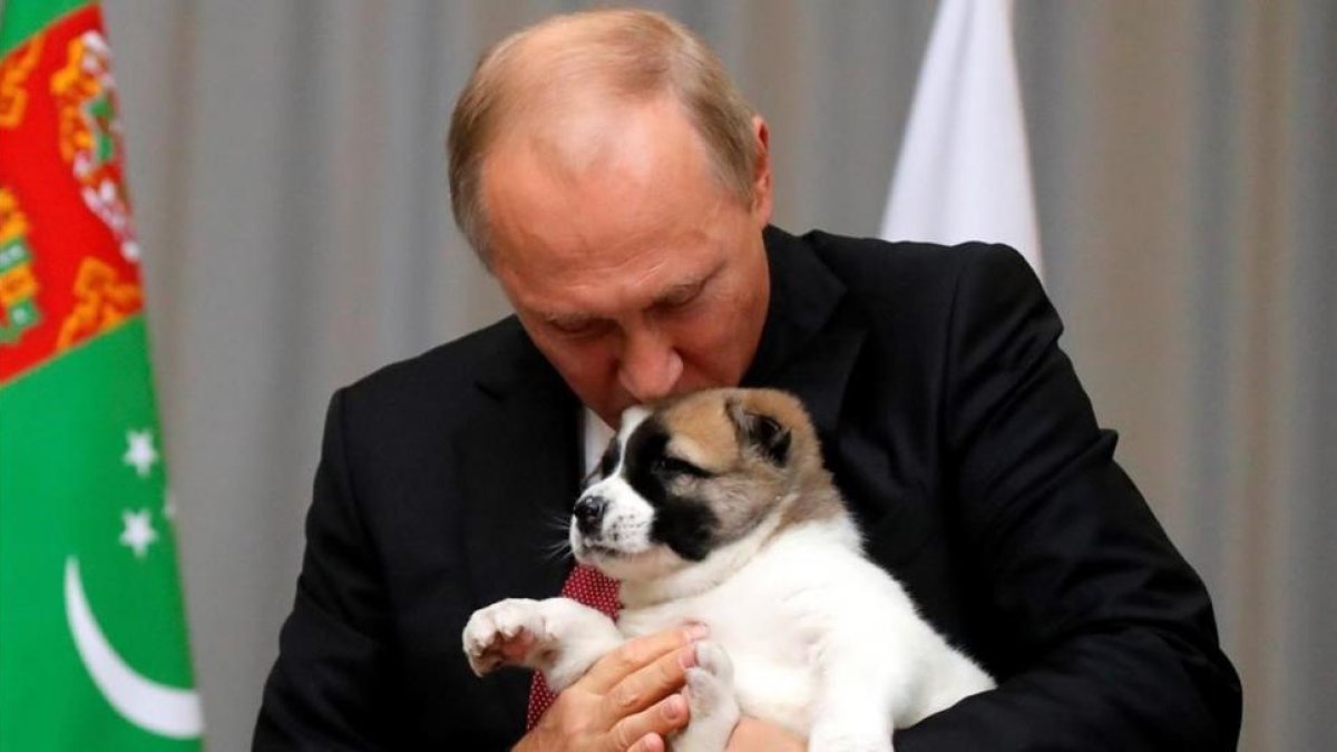 El presidente ruso Vladimir Putin besa un perro pastor de Asia Central.-MAXIM SHEMETOV / EFE