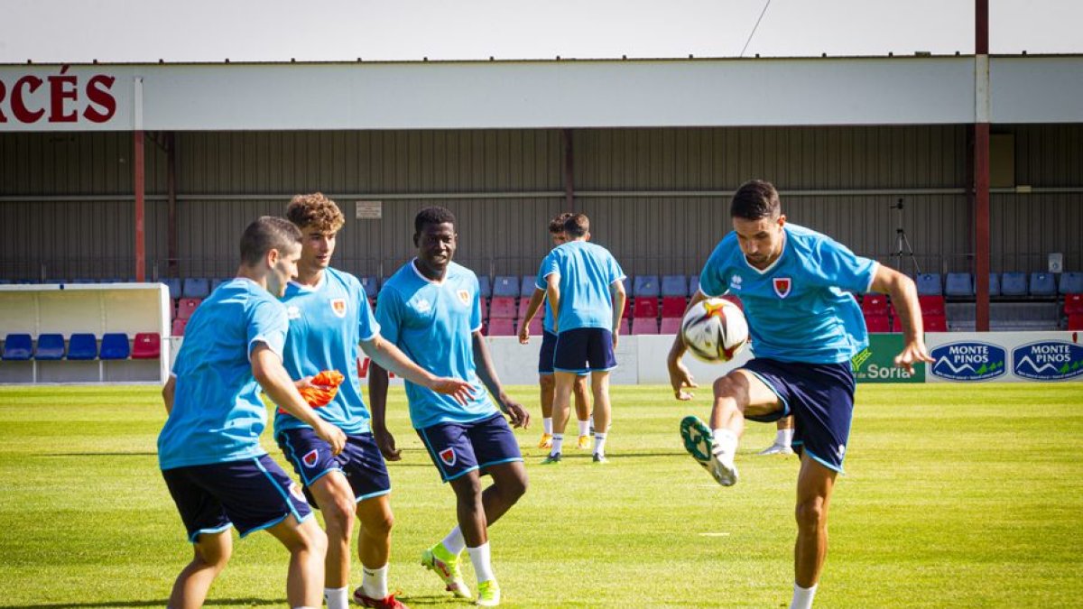 <p>Los de <strong>Diego Martínez</strong> han vuelto esta mañana a los entrenamientos con sus recién incorporados fichajes y canteranos que realizarán la pretemporada.</p>

<p>La sesión de hoy contó con la presencia de todos los <strong>jóvenes que participaron en el Campus del Numancia</strong> que arrancó a principio de semana.</p>

<p>Conoce los nuevos fichajes del CD Numancia al final de la galería.</p>

<p>FOTOGRAFÍA: MARIO TEJEDOR</p>