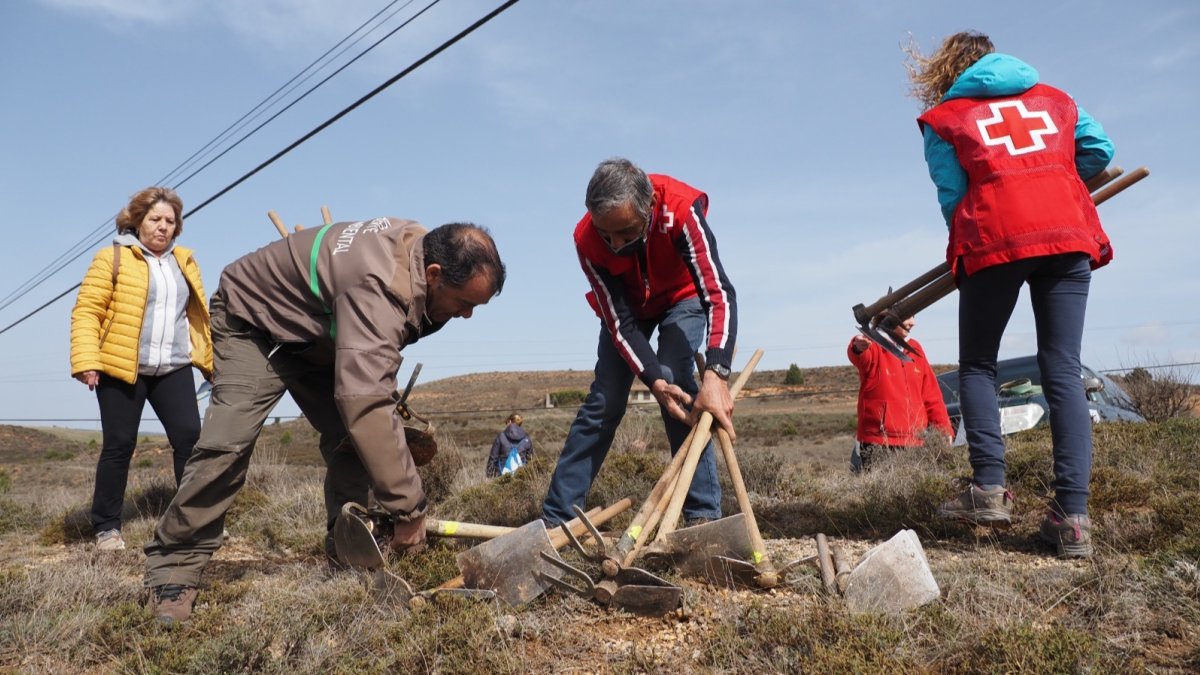 Organizadores repartiendo azadas para la plantación.-A.R.