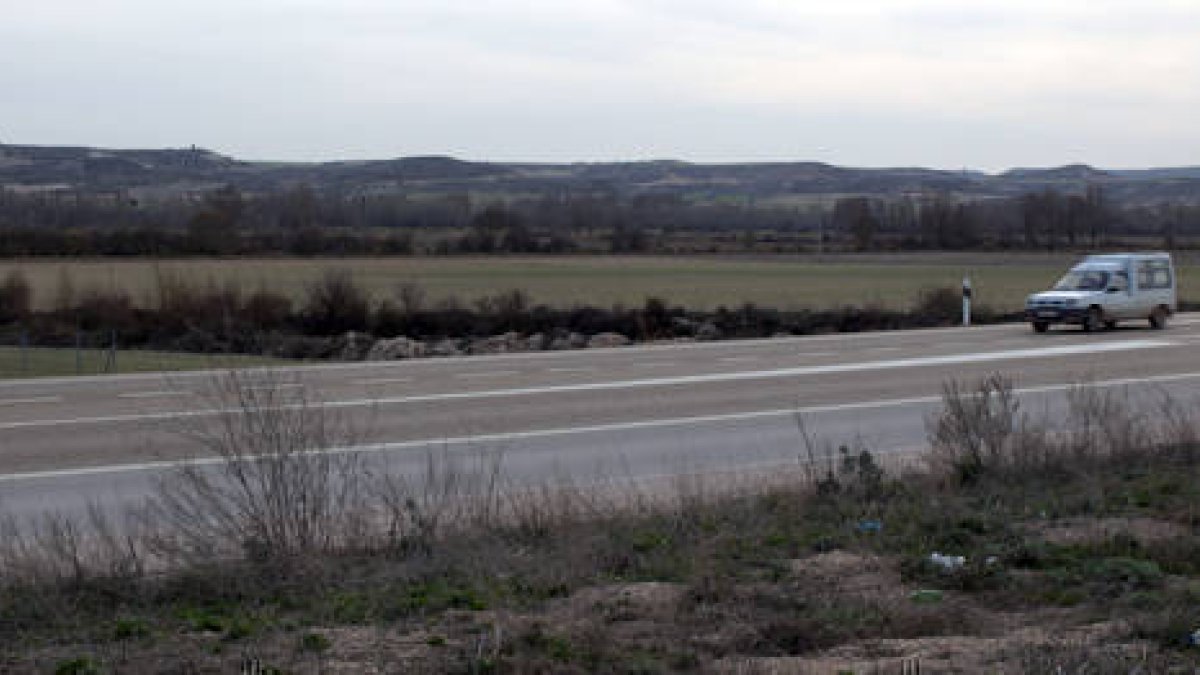 Terrenos donde se ha previsto la instalación de la planta de biomasa de Langa de Duero. / JAVIER SOLÉ-