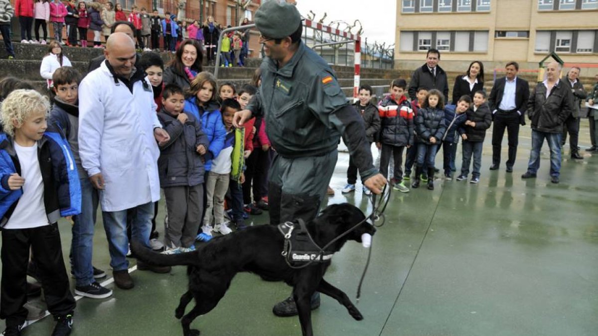 Alumnos y profesores disfrutan de uno de los ‘agentes’ caninos del equipo cinológico.-VALENTÍN GUISANDE