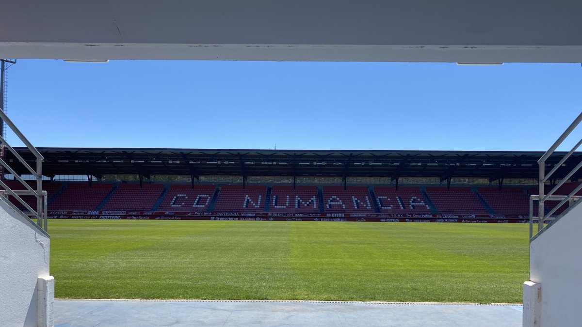 Imagen del césped del estadio de Los Pajaritos. CD Numancia